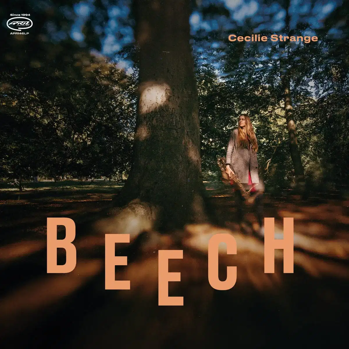 Beech