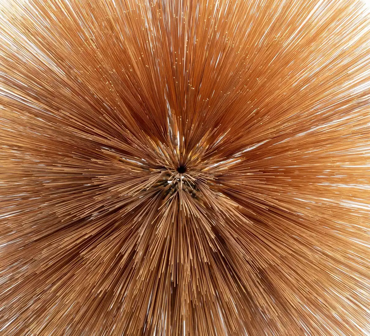 Portada del disco Of The Near And Far